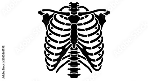 Schilderij op canvas Human anatomy chest bone rib cage vector image detailing skeleton structure medi