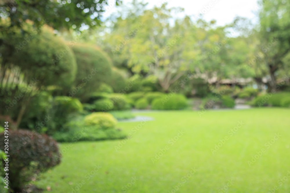 Obraz premium Abstract blur green park garden for background