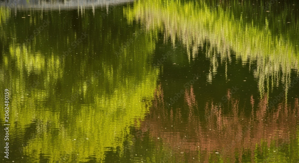 Obraz premium Abstract Reflection of Green and Brown Foliage on Still Water Surface