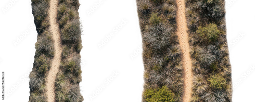 Fototapeta premium Aerial view of a sandy hiking trail winding through dense coastal shrubbery and dry vegetation isolated on transparent background