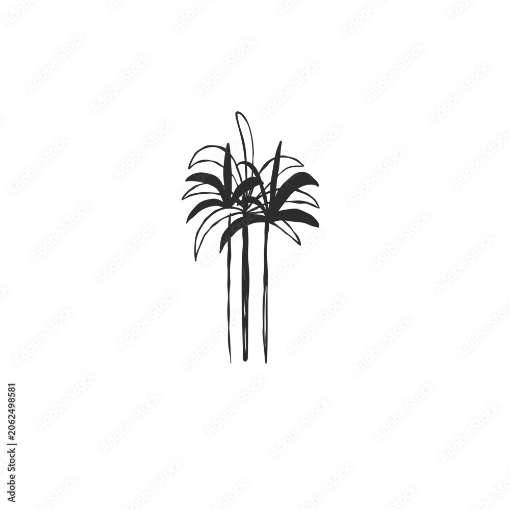 Obraz premium Hand drawn abstract vector graphic illustration collection with stylized line tropical palm leaves frames and borders design template.Trendy modern exotic sketch concept.Vector nature sketch symbol.