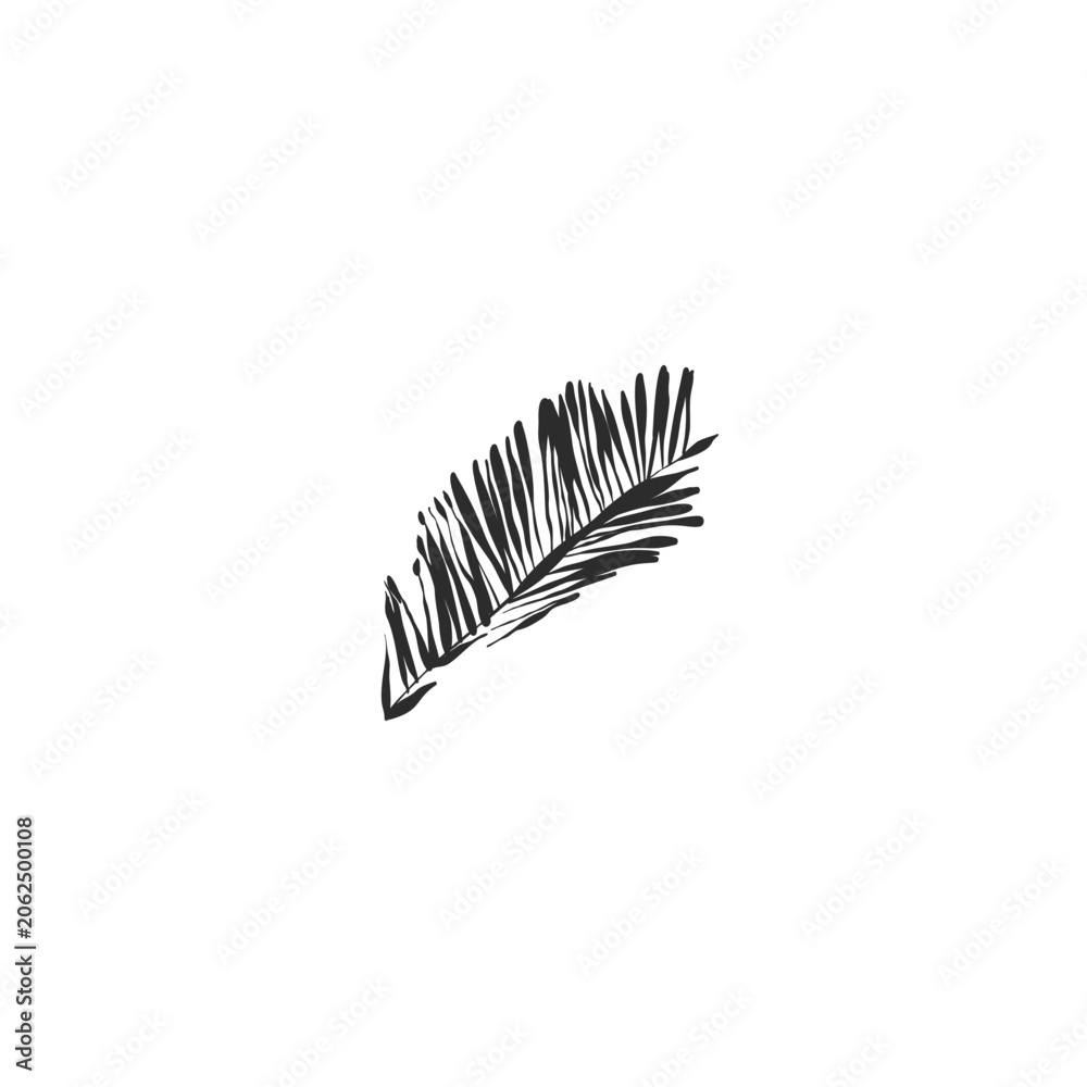 Obraz premium Hand drawn abstract vector graphic illustration collection with stylized line tropical palm leaves frames and borders design template.Trendy modern exotic sketch concept.Vector nature sketch symbol.