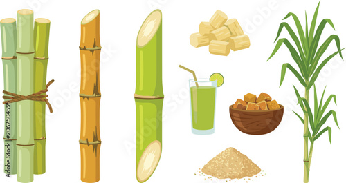 Foto Sugarcane flat vector illustration set featuring fresh green stalks, brown sugar cubes in a bowl, raw granulated sugar pile, fresh juice glass, and cane plant