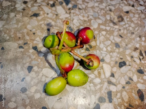 Close-up of raw unripe jamun fruit cluster on a textured mosaic background