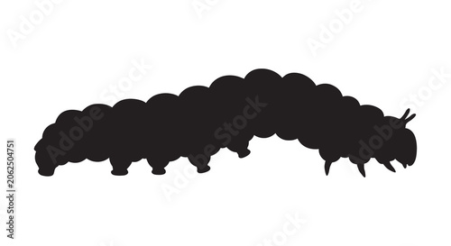 Canvastavla Caterpillar Silhouette On White Background Insect Form Illustration