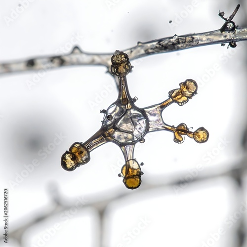 Frozen water droplets on metal wire.
