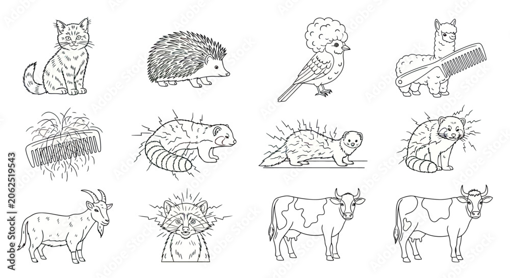 Obraz premium Animals featuring distinctive hair textures and fur patterns.