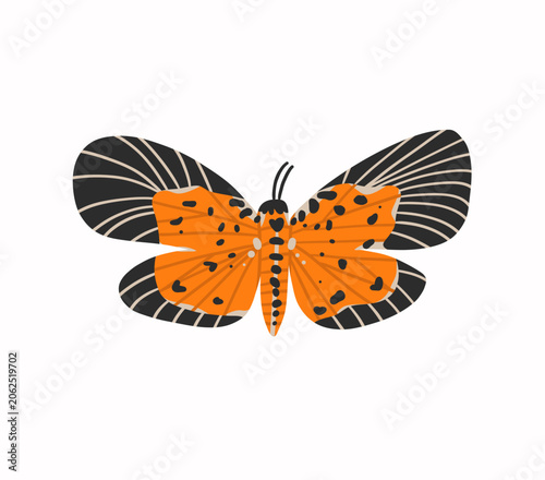 Hand drawn abstract vector clipart illustration collection with butterfly and moth illustration design concept. Nature butterfly vector design decoration.Beautiful graphic butterfly background wings.