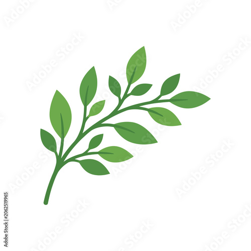 A simple illustration of a green leafy branch on white background