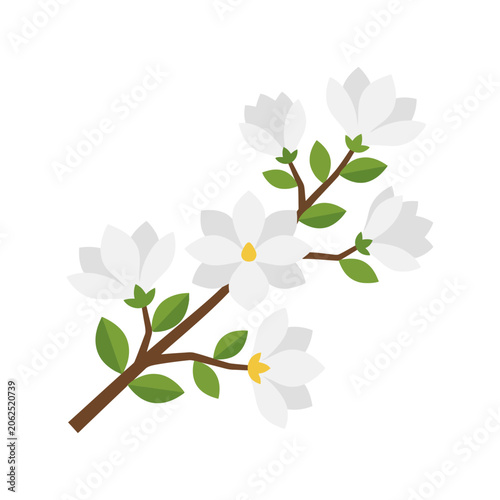 A beautiful white magnolia branch with green leaves