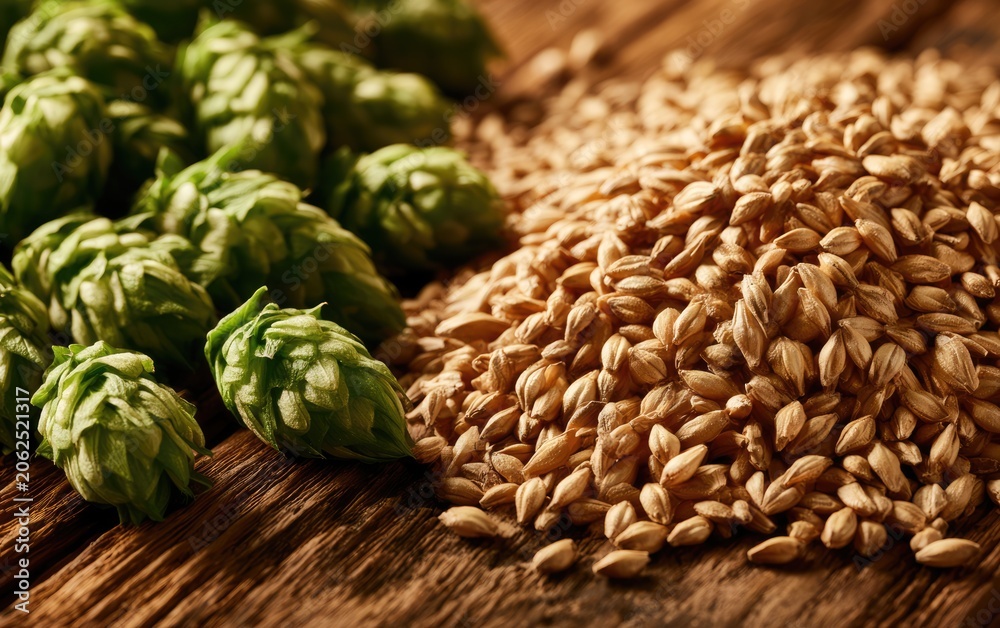 Obraz premium Fresh Green Hop Cones and Malt Barley Grains on Rustic Wooden Brewery Table