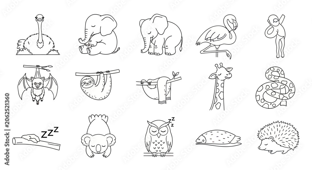 Fototapeta premium Sleeping animals line art collection for coloring pages.