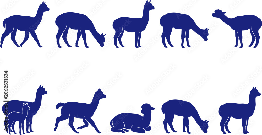 Fototapeta premium Blue alpaca and llama silhouette set standing and walking on transparent background Collection