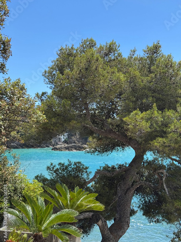 isola d'elba