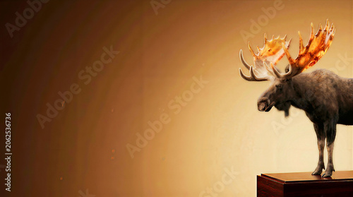 Surreal 3D amber antler moose hybrid on plinth with warm copy space