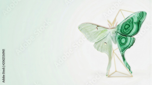 Surreal Luna Moth Malachite Gemstone Hybrid Art