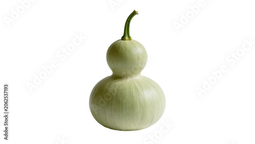 Foto Light green double gourd calabash with stem