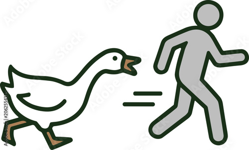 Photos Man chased by aggressive goose, funny illustration, animal attack concept