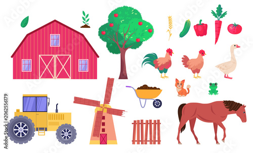 03 - Animals