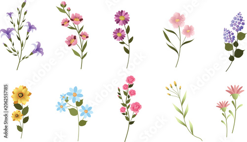 Set of Hand Drawn Floral Elements and Wildflower Branches Isolated on Light Background