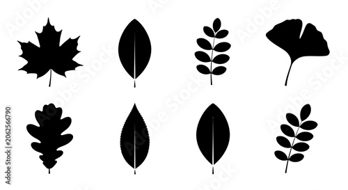 Black silhouettes of various tree leaves including maple oak and ginkgo