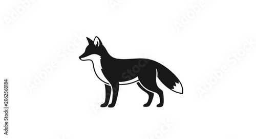 Canvas Print Fox standing in profile presents a sleek and wild silhouette that embodies the cunning intelligence and natural agility of this clever woodland predator in the wilderness