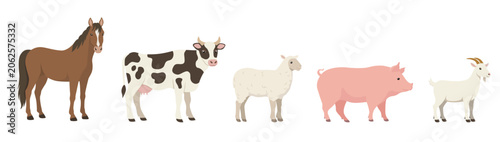 Flat color full-length standing farm animals - horse, cow, sheep, pig, goat - side view. Vector illustration isolated on a white background