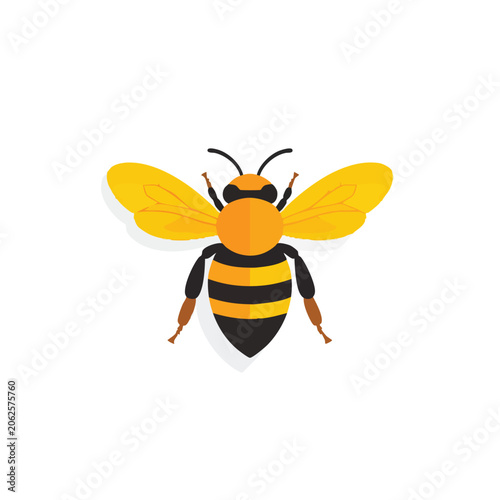 Flat vector illustration of a cute honey bee insect.