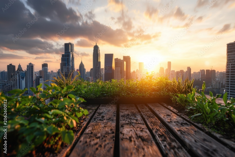 Obraz premium Urban rooftop garden city skyline sunset sky wooden deck green plant skyline view rooftop terrace urban landscape golden light modern building