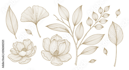 Elegant Botanical Line Art Set Featuring Hand Drawn Leaves and Flowers in Soft Gold Tones