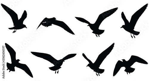 Εκτύπωση καμβά Seagull Silhouettes In Flight Black Shapes Against White Background avian