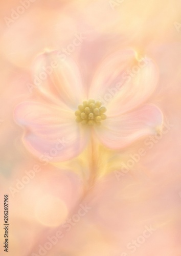Soft pastel floral elegance.