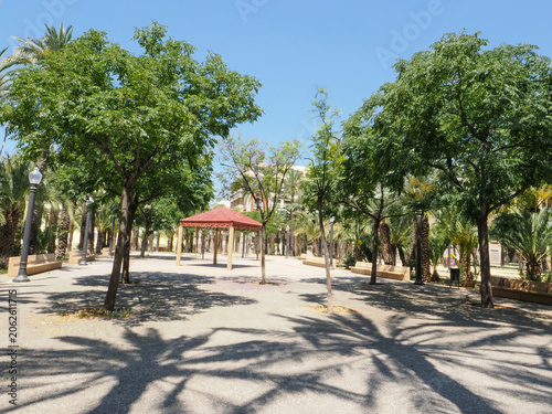 Sunny palm trees in a green park in Alicante, Spain