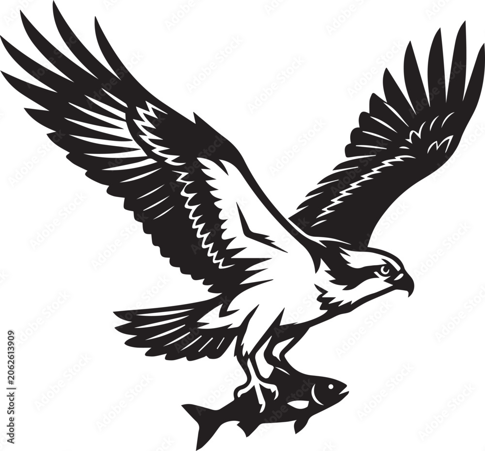 Fototapeta premium Osprey Eagle Flying with Fish Illustration
