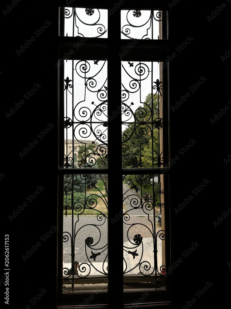 Fototapeta premium Dark interior view through an ornate window with decorative wrought iron grille overlooking a quiet garden outside.