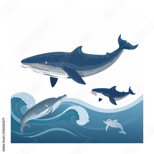 Blue shark and wave isolated on transparent background