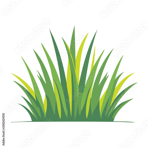 Flat design green grass vector