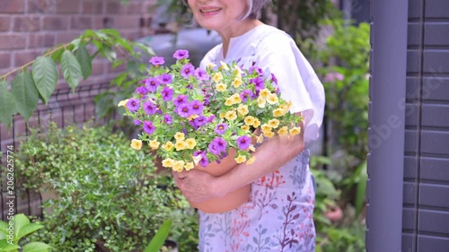 庭の花に水やりをする顔無しのクローズアップ　園芸やお花屋さんなどの花壇のイメージの動画