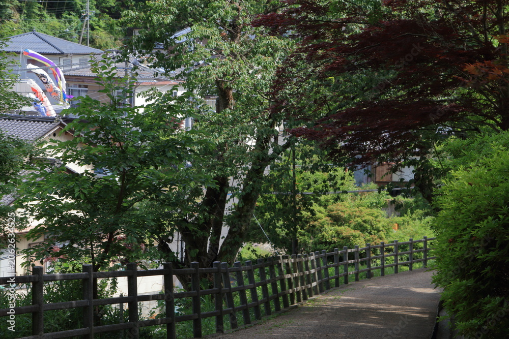 Obraz premium 鯉のぼりのある風景