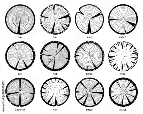 Tree Cross Section Patterns