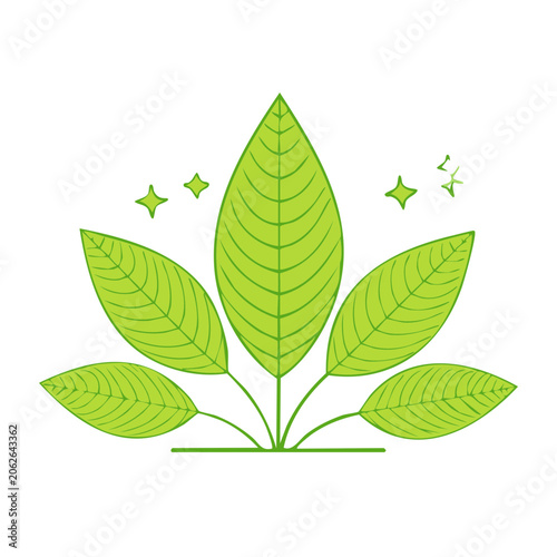 Green leaf with star symbols flat design