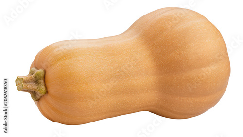 Obraz na plátně Butternut squash with stem smooth skin, elongated shape