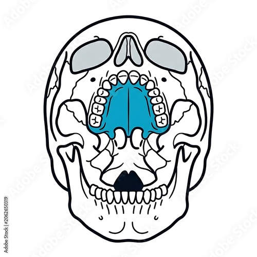 Cartoon skull with crossbones and heart design.