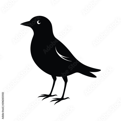 Black bird silhouette, vector illustration, animal icon, wildlife symbol