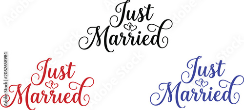 Photography Just Married Calligraphy Design Bundle, Wedding Typography and Marriage Celebrat