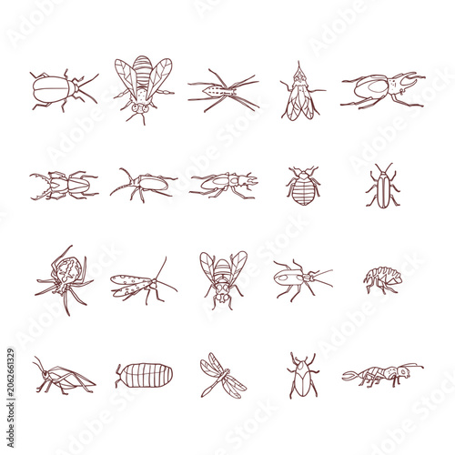 Hand Drawn Insect Species Outline Collection Set