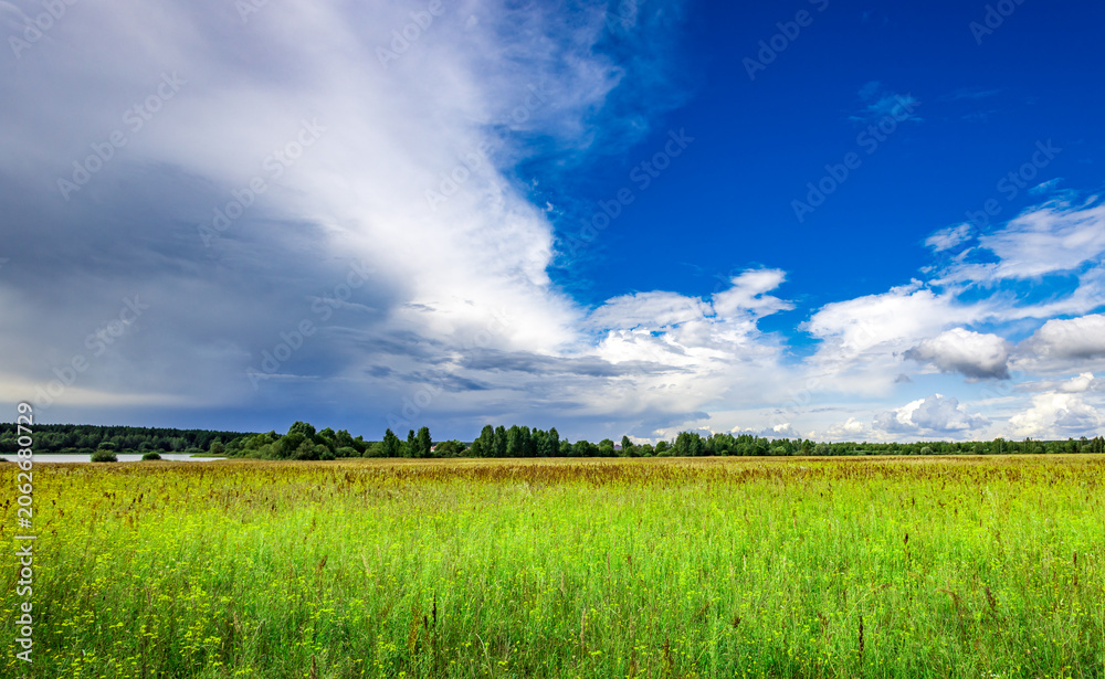 Obraz premium Lush green meadow under dramatic sky with scattered clouds and distant treeline