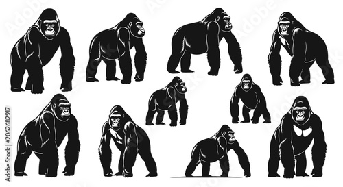 Obraz na plátně Powerful primate silhouettes standing and walking in black and white