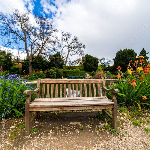 Wooden park bench in a garden setting