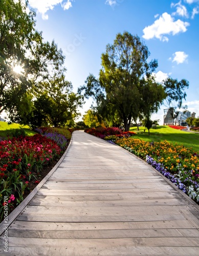Wooden path through colorful flower garden